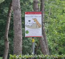 Area per cani a villa Borghese