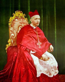 Il cardinale Alfredo Ildefonso Schuster