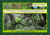 Urkunde Baumpate