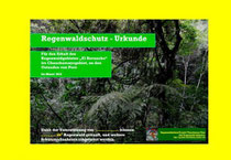 Urkunde Regenwald