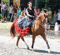 Bismarck beim Tag des Pferdes 2011 in Böheimkirchen