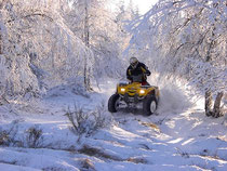 quad sur neige