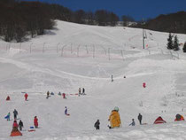 luge