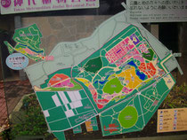 神代植物公園