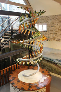 Der Whisky Baum - Glenlivit Distillery