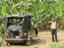 Bananentransport in Hampi