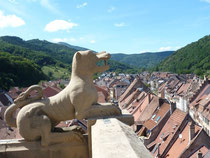 Vue du haut du clocher 