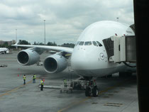 A 380-800 FFM - Johannisburg