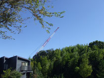 何か釣れるかな?