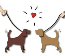 Die Verpaarung zwischen Ruby und Shadow hat diese Woche stattgefunden 💕. Wenn alles gut läuft, erwarten wir Mitte November unseren F-Wurf.