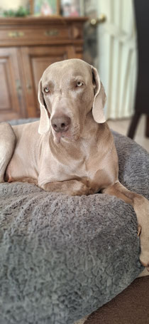 Wir wünschen Euch einen schönen Sonntag 🐾🍂☀️