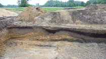 Eine Boden-Sediment-Abfolge in der archäologischen Grabung (Niersaue).