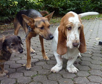 Foto: Oetken