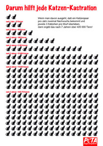 Quelle: Katzenpyramide Peta