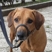 Foto: Oetken