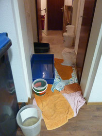 Foto: Oetken