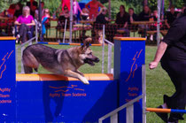 M.A.C. Bad Soden 2011