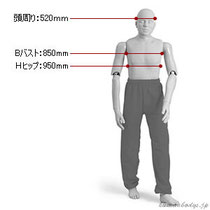 レスキューマネキン165cmタイプのサイズ