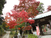 東山寺 紅葉