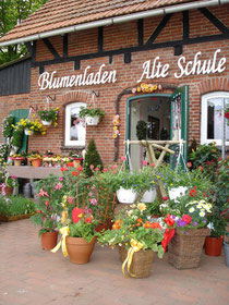 Blumenladen, Alte, Schule, Bokel