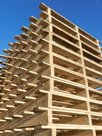 Palettes deux entrées à plancher débordant