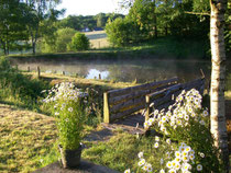 Teich 1