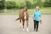 Tellington TTouch works with all animals! This is Sarah working with my horse, Flash. Pic: Bob Atkins/Horse&Rider magazine