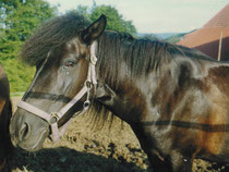 Ronja 1997