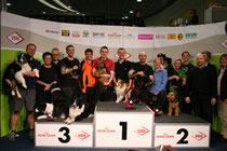 WM Team 2010