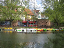 Anlegesteg