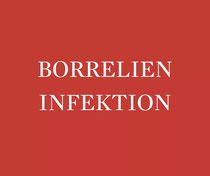 Borrelien Infektion