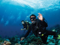 Alles bestens: In Sachen Artenvielfalt suchen die Korallenriffe von Raja Ampat weltweit ihresgleichen. Foto: Papua Diving