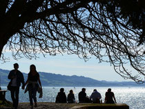 Seit April wird der Bodensee neu vermessen. Foto: Felix Kästle/Archiv