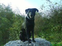 Geb: 28.03.2004