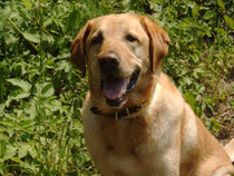 Geb:21.02.1998, Gest: 05.08.2010