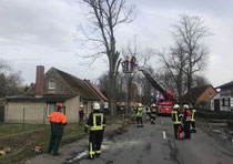 In Werben wurde die Drehleiter der Seehäuser Feuerwehr am Sonnabendnachmittag gebraucht, um gefährliche Äste eines Baumes zu entfernen. Fotos: Feuerwehr