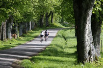 Fahradtour