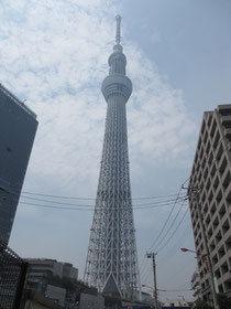 Sky Tower