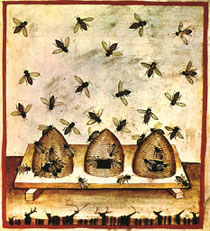 Tacuinum sanitatis casanatense ms459
