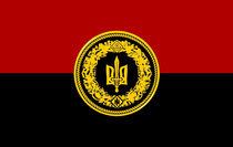 Прапор Управління Власної Безпеки Національної сили України 
