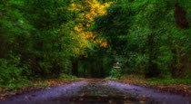 De herfst is begonnen.