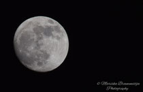 Bijna volle (bloedmaan)