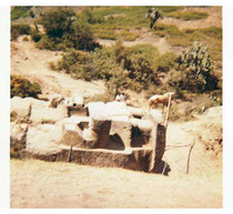 Tecomitl.