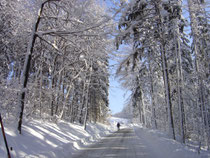 Winterlandschaft
