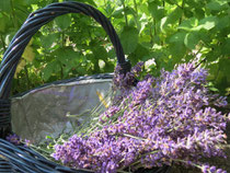 Räucherwerk Lavendel