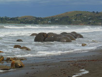 Moeraki Boulders