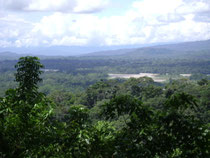 RIO NAPO