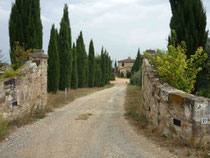 (En Toscane, sur la Via Francigena)