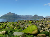 Cuillins from Elgol