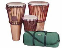 Drum Rental and Case